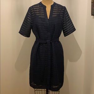 Banana Republic Dress 8